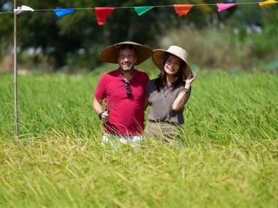 SS Rice News Convention 2025, Pattaya - Thailand